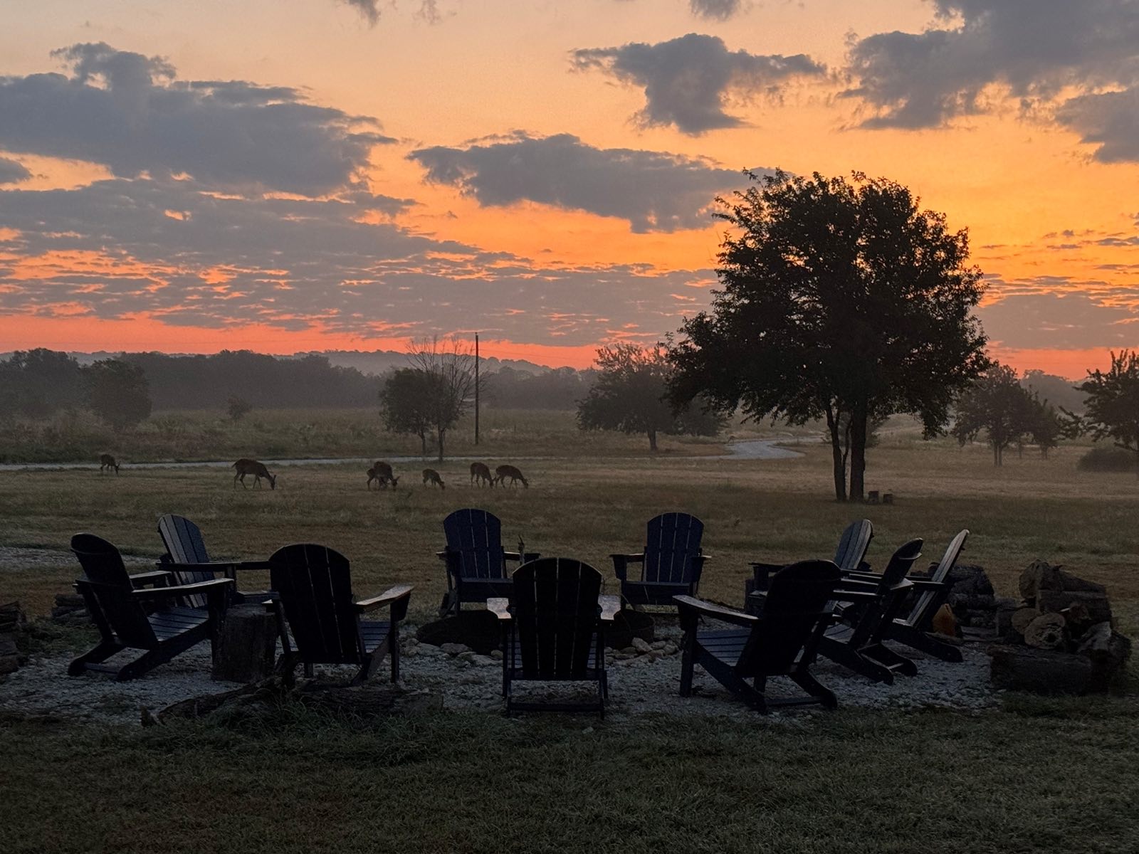 Sunrise over the fire pit, deer passing through